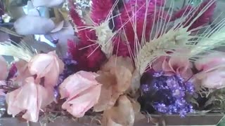 Beautiful dried flowers in the flower shop, a different beauty [Nature & Animals]