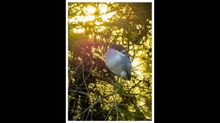 Will Davis Studios Fine Art Greeting Cards - Life Behind the Lens 2-8-21