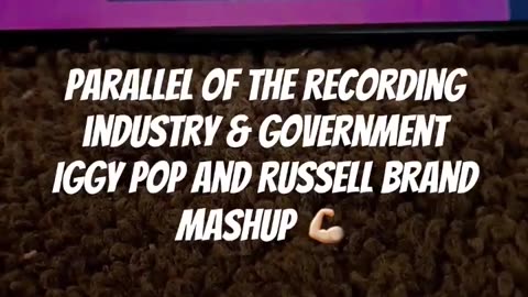 Parallels of the Recording Industry & Government - Iggy Pop and Russell Brand Mashup