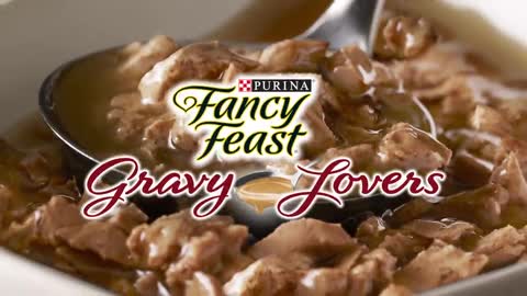 Purina Fancy Feast Gravy Wet Cat Food Variety Pack, Gravy Lovers Poultry & Beef Feast Collection
