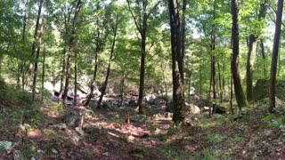 Kayaking to Yellow Creek Falls in Leesburg, Alabama