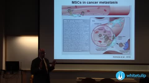Mesenchymal Stem Cells and Regenerative Medicine