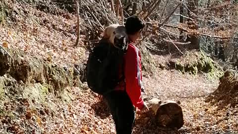 Autumn Hiking with cat