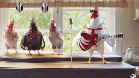 Funny Chicken Song And Dancing Rooster - Funny Chicken Dance