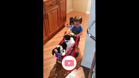 atandbabiesfunnyvideos CAT AND BABIES FUNNY VIDEOS CAT AND BABIES PLAYING BABY AND CAT MOMENTS PART1