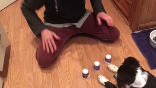 Luna Plays the Cup Game