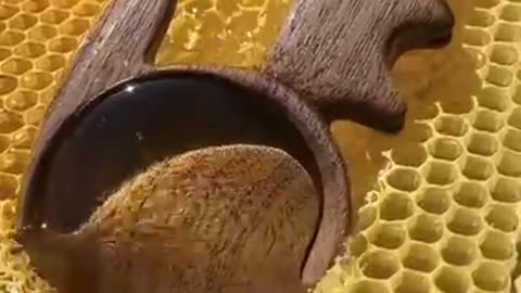 Take out honey from honeynest new very relaxing and satisfied video