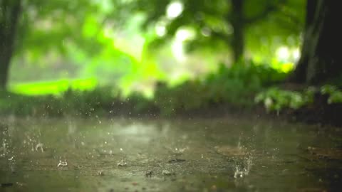 Beautiful Rain Raining Scenery _ Neture vedio __ Beautifull Rain Video __ HD Nature Video