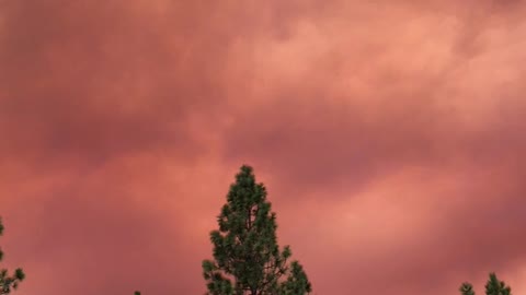 Bear Fires Forebestown CA September 2020