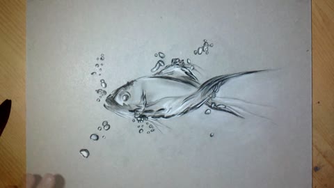 fish drawing