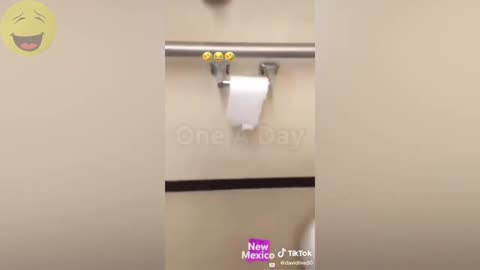 "Spider Prank in Toilet Paper: Hilarious Compilation!"