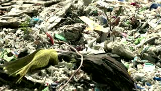 Turkey bans most plastic waste imports