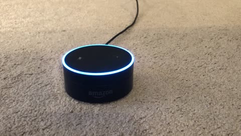 Amazon Echo's Alexa Calculates 10 To The Power Of 308