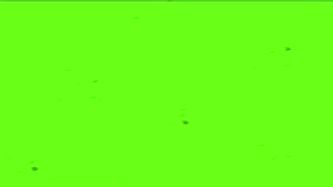 Green screen effects video copyright free [NCVHD]