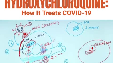 Hydroxychloroquine Science COVID-19 treatment