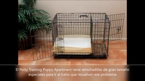 Como enseñar a tu mascota a ir al baño