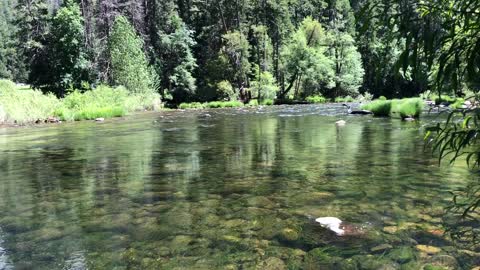 Yosemite Serenity