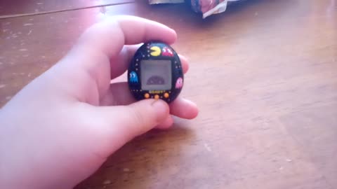 Pac-man Tamagotchi - How to Reset Clock to "Pause" your Pet