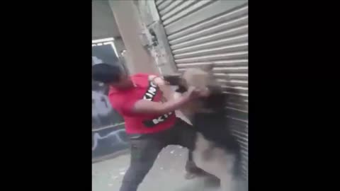Boy hits a aggressive dog