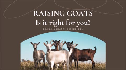 384 Raising Goats Is it for you?