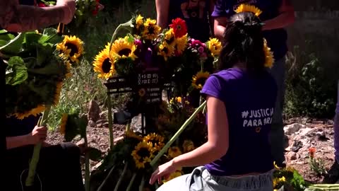 Mexicans plant sunflowers for femicide victims