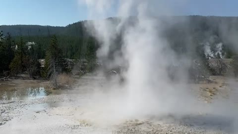 Yellowstone