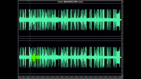 THE NSA ANALYZING AUDIO - GOD AND MUSHROOMS - GARY SUDBRINK TAPES BUSTED