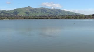 Fremont, CA — Central Park - Lake Elizabeth #1