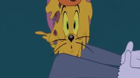 Tom Jerry Funny Cartoon Movies ❤