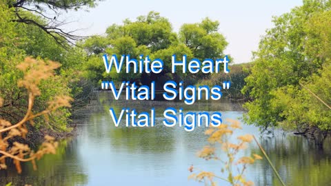 White Heart - Vital Signs #253