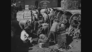 Field Artillery Training in the United States, 1918-1919