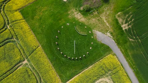 Sonnenuhr near Kaiserslautern Germany | Drone Footage Compiled