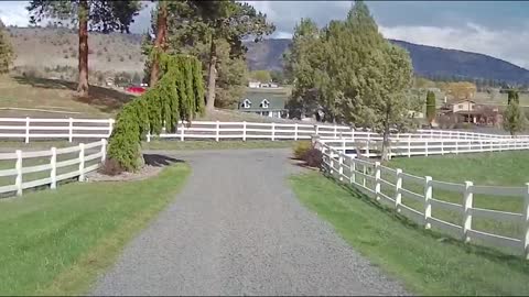 Dash Cam Films Deer Hopping A Fence With Ease