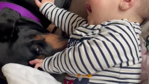 Dog Tickles Baby