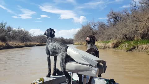 Jetting down the Bighorn River