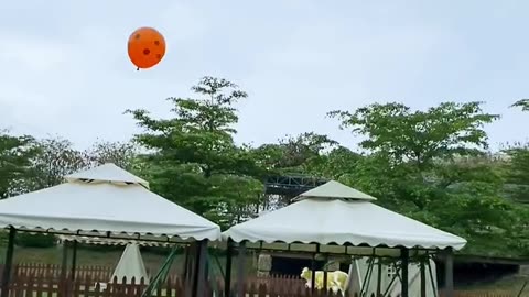 Dogs are playing with baloon as football