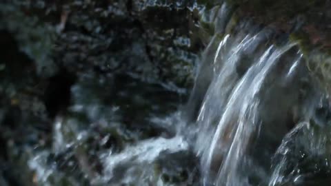 Stream (Free to Use HD Stock Video Footage)