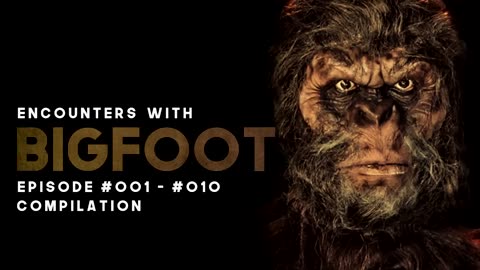 100+ BIGFOOT ENCOUNTERS COMPILATION EPISODES #001