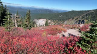 Oregon – Mount Hood – Vibrant Valley – 4K