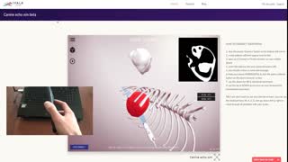 Canine echocardiography simulator mobile phone - 3D Veterinary Learning, IVALA