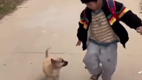 Dog and a boy friendship