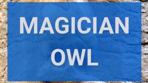 MAGICIAN OWL II comedy stories in English with pictures II Joke in English