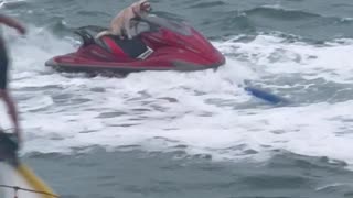 Will Do Jetski Tricks For Treats