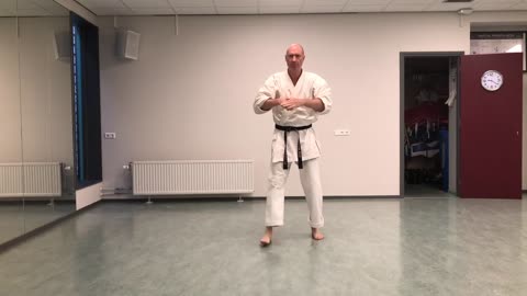 Karate | Okinawan Goju-ryu | Seiunchin kata