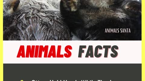 Amazing Random Interesting Animal Facts - That You Should Know | Did You Know