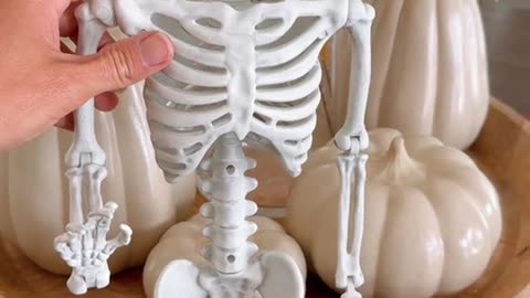 amazon halloween skeleton decorations