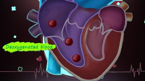 How Does Human Heart Works? | Human Heart Structure And Function (3D Animation)