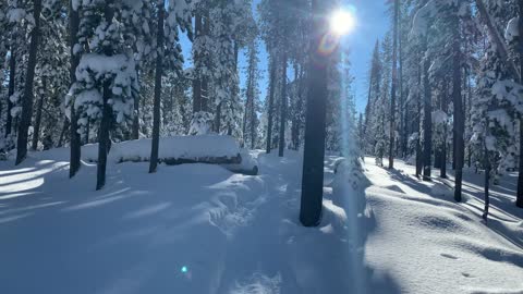 Blinding Sun & Snow – Central Oregon – Swampy Lakes Sno-Park – 4K