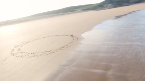 Dog Seen Running in Circles on Beach