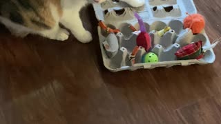 Egg Container Play!